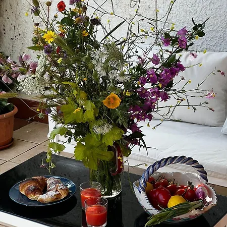 Casa Pitea * 蒙德罗